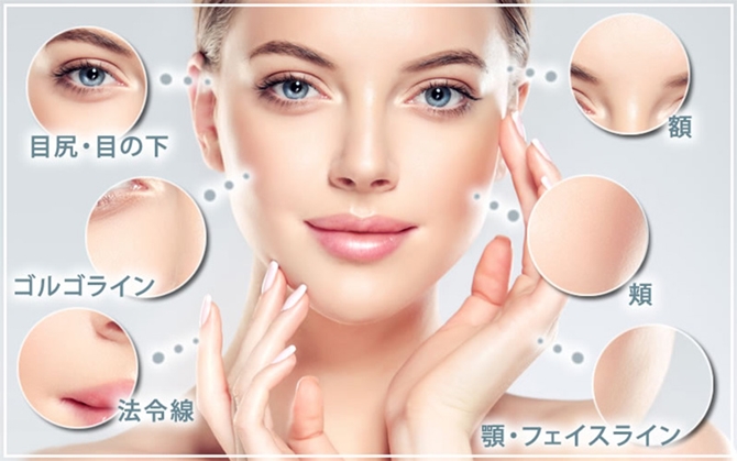 フェイスライン